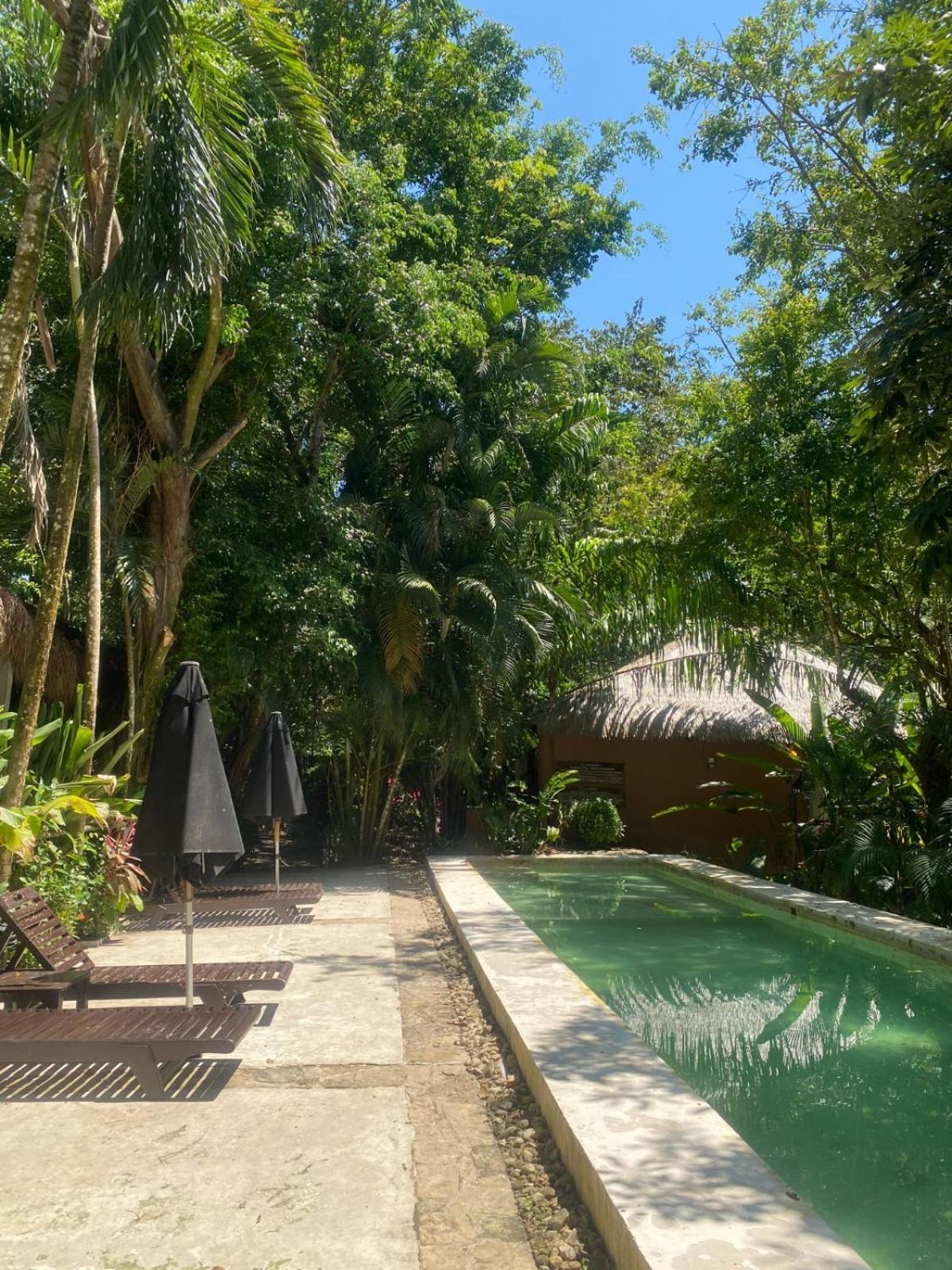 Hotel Piedra De Agua Palenque Exterior foto